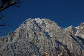 Cazare Casa Cristina